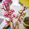 LEGO Botanicals Kirschblüten - Spielzeug mit Kunstblumen  – Produktbild-Vorschau 36