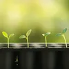 Quickpot Anzuchtsplatte mit 54 Pflanzlöchern + Untersetzer Produktbild-Vorschau 6