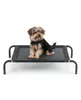 A small dog sits on a black elevated dog bed against a white background. Anteprima dell’immagine prodotto