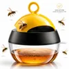 2x Wespenfalle Insektenfalle Fliegenfalle Tisch Haus Garten Produktbild-Vorschau 2