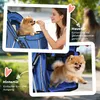 PawHut Hundewagen Hundebuggy Faltbar Katzenwagen bis 10kg Produktbild-Vorschau 7