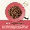 APPLAWS Adult Kurczak z kaczką - sucha karma dla kotów - Podgląd zdjęcia produktu 7
