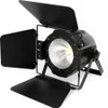Stage lighting Stage light 2 in 1 100W COB LED outdoor Náhled obrázku produktu 1