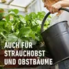 COMPO Beeren- und Obst Langzeit-Dünger für 45 m² - 2 kg Produktbild-Vorschau 8