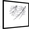 MuchoWow® Gerahmtes Poster Äste mit Schnee 40x40 cm - Produktbild-Vorschau 1