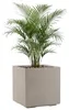 Pot de fleurs sur roulettes, couleur beige, aspect bois, Voir les images du produit 1