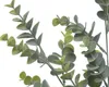 Eukalyptus Zweig künstlich 73cm Produktbild-Vorschau 2