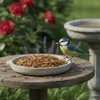 getrocknete Mehlwürmer als Vogelfutter Produktbild-Vorschau