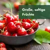 A close-up of a bowl filled with ripe cherries, with a green overlay text box. Produktbild-Vorschau