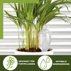 Scheurich Wasserspender Bördy S | 4 x Klar | 90ml Füllmenge Produktbild-Vorschau 3
