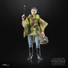 Hasbro Star Wars Černá série Princezna Leia (Endor) 15 Náhled obrázku produktu 13