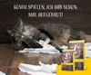 A cat is sleeping on torn paper next to two bags of cat food. Produktbild-Vorschau
