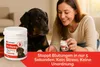 Flamingo Blutstillpulver für Hunde, Katzen & Kleintiere – Produktbild-Vorschau 2