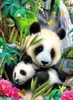 300 Teile Ravensburger Kinder Puzzle XXL Lieber Panda 13065 Produktbild-Vorschau 2