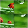 Wanduhr - Rund - Glasuhr - Marienkäfer Wasser Grün Umwelt - Produktbild-Vorschau 8