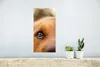 MuchoWow® Poster Das Glitzern im Auge des Golden Retrievers Produktbild-Vorschau 5