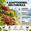 Stress Spray – Ashwagandha, Rhodiola, Reishi & Schisandra – Productafbeelding-voorbeeld 3