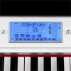 Schubert Carnegy-61 - Keyboard, E-Piano, 61 Tasten, 100 Produktbild-Vorschau 6