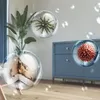Philips 2-in-1 Luftentfeuchter und Reiniger 5000 Series, Produktbild-Vorschau 7