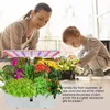 Hydroponický pěstební systém s časovačem LED světla pro Náhled obrázku produktu 3