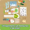 A collection of items for a dinosaur-themed advent calendar, laid out on a brown background. Náhled obrázku produktu