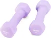 Two purple dumbbells on a white background. Náhled obrázku produktu