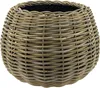 Rotan Drypot Bol - ø 45 x 34 cm - Runder Pflanzkasten - Produktbild-Vorschau 1