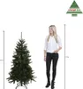 Triumph Tree Forrester Arbre de Noël artificiel - H155 x Voir les images du produit 4