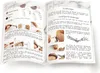 Fimo Fimo® Set Sieraden Line Art Produktbild-Vorschau 10