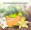 Air Wick Duftöl-Flakon Nachfüller Sommervergnügen 19ml Voir les images du produit 10