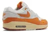 scarpe Nike Air Max 1 DZ4709001 Anteprima dell’immagine prodotto 7
