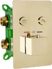 A close-up of a gold-colored shower valve with a green mounting bracket. Náhled obrázku produktu