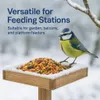 A blue tit bird stands on a wooden bird feeder filled with seed, surrounded by snow. The background is a blurred winter scene. Anteprima dell’immagine prodotto
