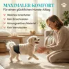 HUND IST KÖNIG Hundewindeln für Rüden [3 Stk], XS (Taille Produktbild-Vorschau 4