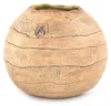 Vase "Blumenkugel"  Welle (18,00 cm) Produktbild-Vorschau 5