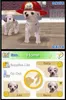 A split image showing two dalmatian puppies in the top half, one wearing a firefighter hat. The bottom half displays a user interface for a pet simulation game, showing options like 'Save', 'Home', 'Supplies List', 'Go Out', and profiles of other pets. Produktbild-Vorschau