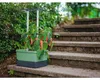 Gusta Garden CHARLY CHILY Standard samozavlažovací truhlík, Náhled obrázku produktu 18