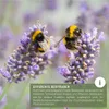 wildtier liebe Großes Hummelhaus Natur I Geschraubtes Produktbild-Vorschau 5