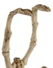Scheletro di pipistrello - decorazione 30 cm Malatec 22005 Anteprima dell’immagine prodotto 6