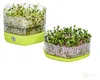 Mungobohnen-Sprossenschale grün, Packung mit 1 Stück Produktbild-Vorschau 8