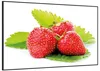 Wallario Wandbild Frische rote Erdbeeren für die Küche, Produktbild-Vorschau 2