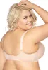 Gaia damen bh soft schalen netz stickerei unterwäsche s874m Produktbild-Vorschau 3