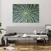 Bilder auf glas - Einteilig - Agave Grün Pflanze - 100x70cm Produktbild-Vorschau 6