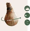 Nivéole d'été - Set de 20 - Leucojum aestivum - Bulbes à Voir les images du produit 2