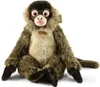 A plush monkey toy sitting on a white background. Produktbild-Vorschau