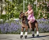 Mechanisch paard op wielen Pony Happy M Productafbeelding-voorbeeld 6