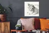 MuchoWow® Poster Liegende Katze, schräg nach vorne geneigt Produktbild-Vorschau 2
