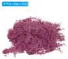 1.8 OZ Kunstmoos Konserviertes Rentiermoos Kš¹nstliches Produktbild-Vorschau 1
