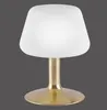 Stolní LED lampa PAUL NEUHAUS 4078-60 matná mosaz, 2,6 W, Náhled obrázku produktu 4