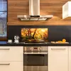 Coloray Küchenrückwand 100x50 Spritzschutz aus Glas - Produktbild-Vorschau 3